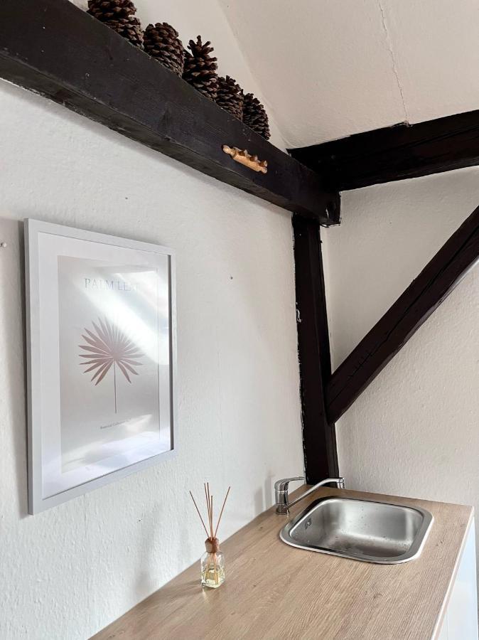 Loft Close To Metro Palmovka 公寓 *